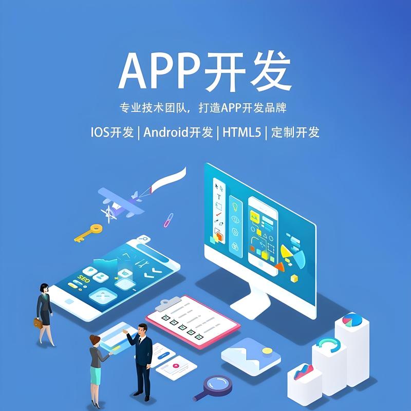 山西软件开发